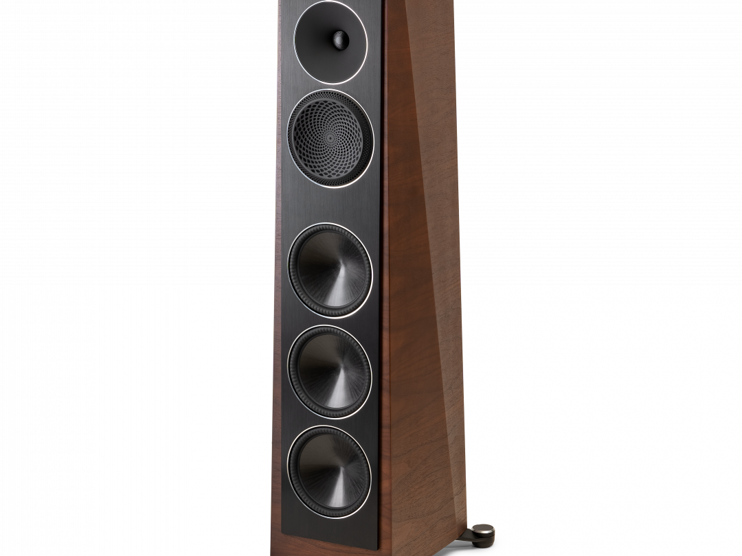 Paradigm launch Founder