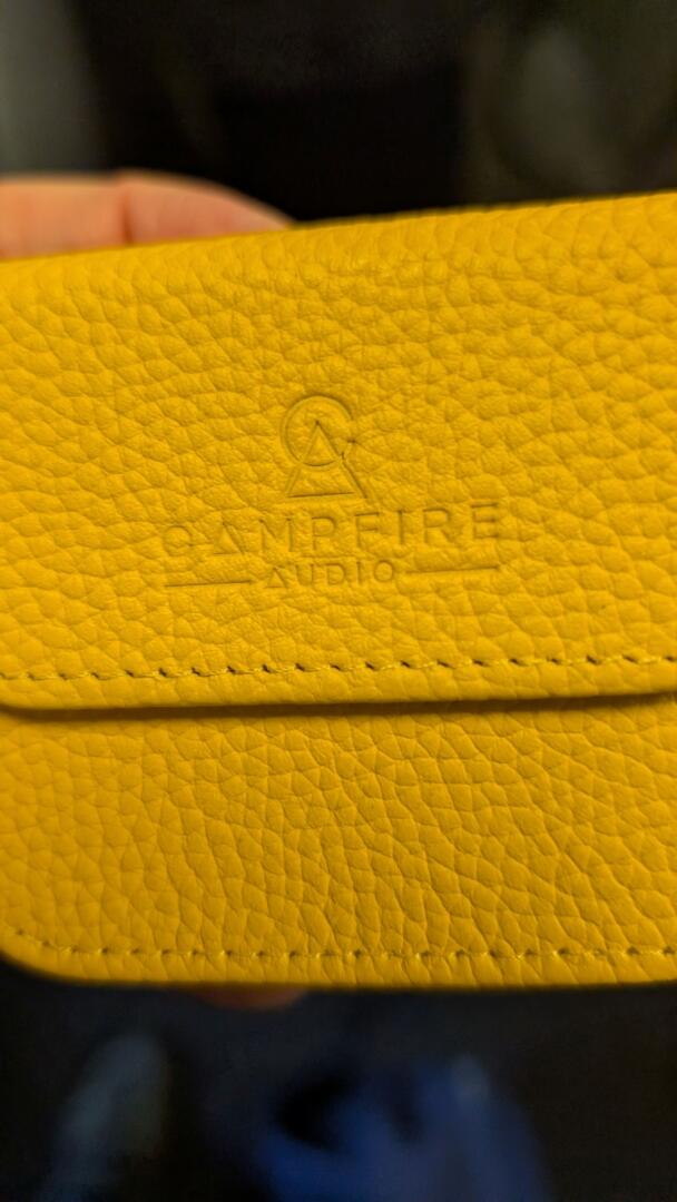 Campfire Alien Brain case